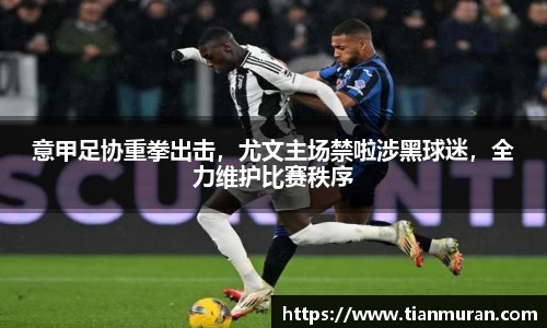 意甲足协重拳出击，尤文主场禁啦涉黑球迷，全力维护比赛秩序