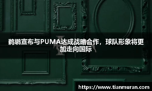 鹈鹕宣布与PUMA达成战略合作，球队形象将更加走向国际