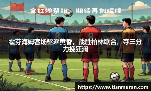 金年会