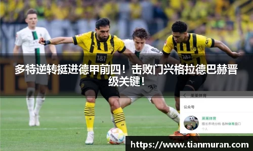 金年会 金字招牌诚信至上