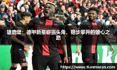 雄鹿堡：德甲新星崭露头角，稳步攀升的雄心之路
