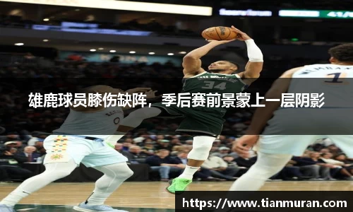 雄鹿球员膝伤缺阵，季后赛前景蒙上一层阴影