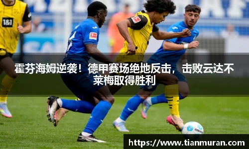 金年会金字招牌在线入口